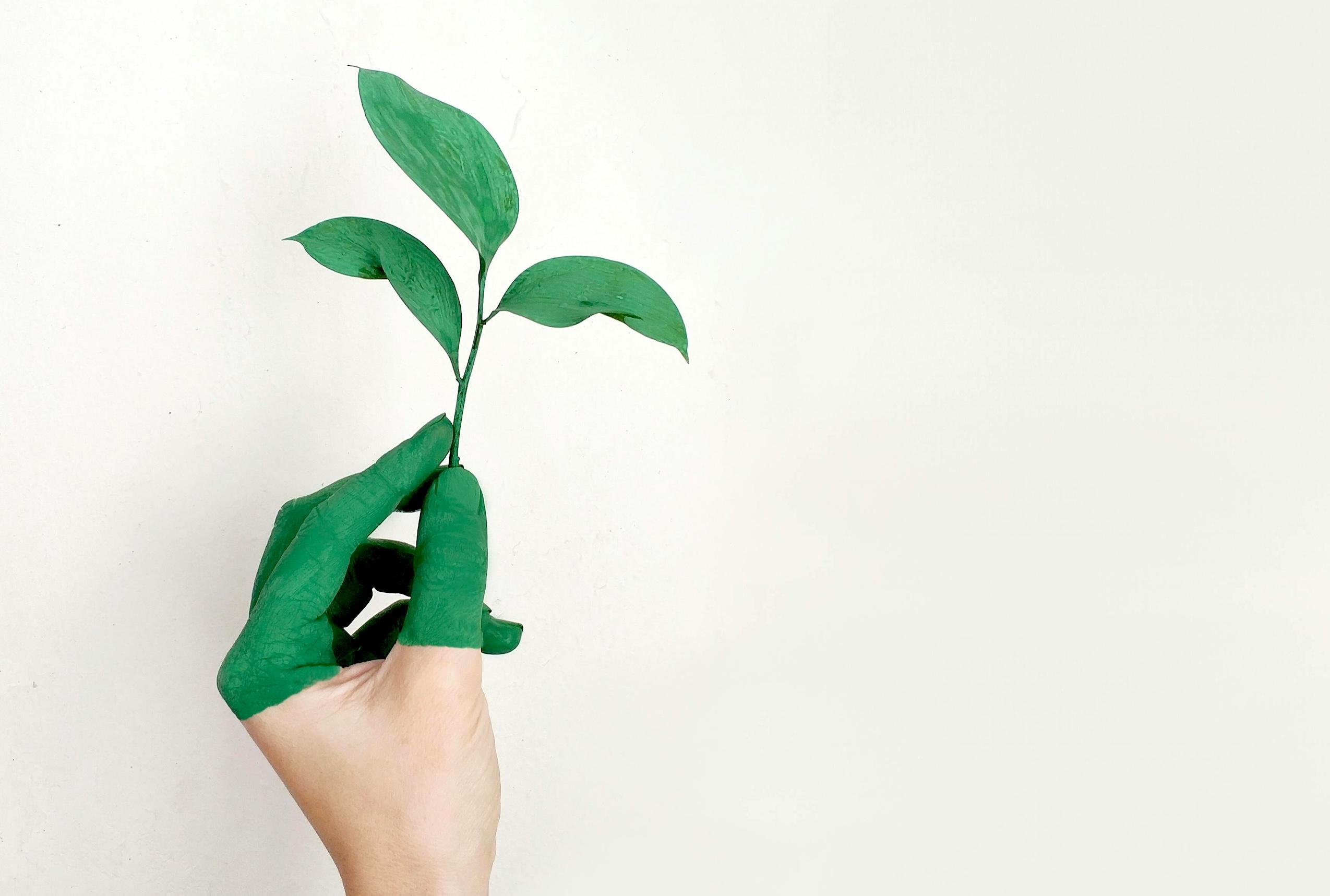 Wir erklären, was Green HR bedeutet und wie man für ein nachhaltiges Personalwesen sorgt